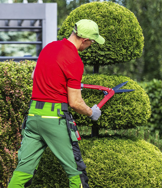 About ELEGANT TREE SERVICES LLC